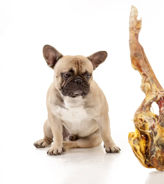 Fransız buldozer ve et