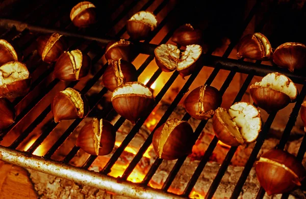 Geroosterde kastanjes op grill — Stockfoto