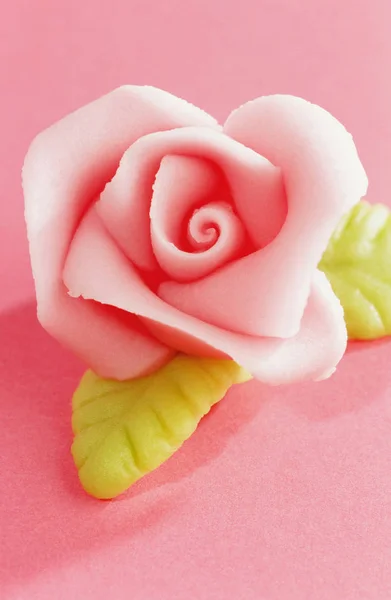 Marzipan rose over pink — Stock Photo, Image