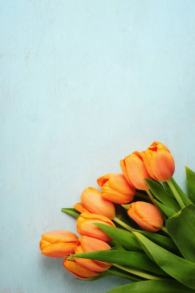 Ramo de tulipán sobre fondo de madera azul — Foto de Stock