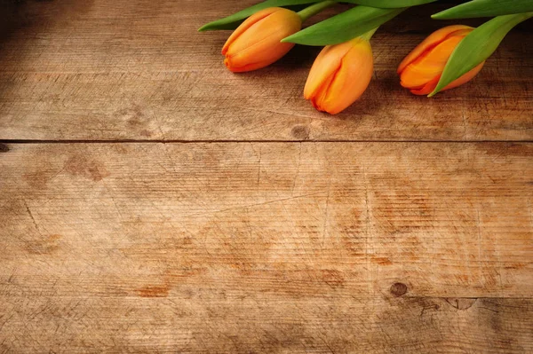 Tulip bouquet on wooden background — Stock Photo, Image