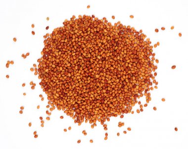 Kızıl yonca tohumu 