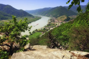 Spitz, Wachau, Lower Austria,  Austria