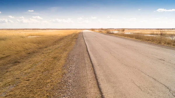 Bir bulutlu gökyüzü çerçevede bir kuru ot alanı arasında asfalt yol. Bahar manzara tema seyahat ve otostop.