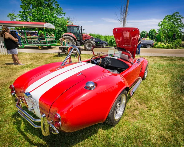 Schöne Rückansicht eines Oldtimer-Sportwagens im Park an sonnigen Tagen — Stockfoto