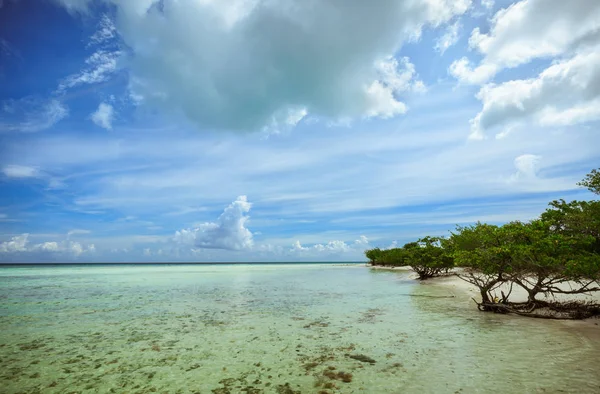 Úžasný pohled divoké pláže a mělké moře vody na pozadí modré oblohy na ostrov Cayo Coco, Kuba — Stock fotografie