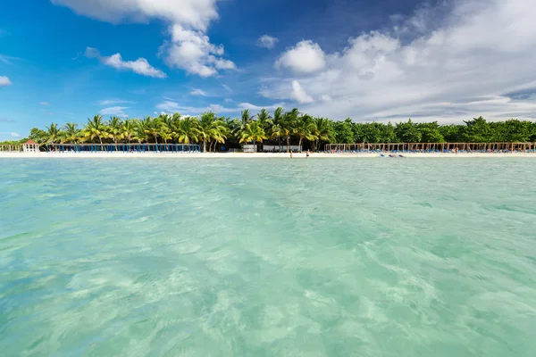 Hermosa vista de la playa cubana de la palma de Cayo Coco y el océano tranquilo y turquesa en el soleado y hermoso día Imágenes de stock libres de derechos