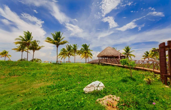 Vackra tropiska landskap vy med träbro som leder till strandområdet — Stockfoto