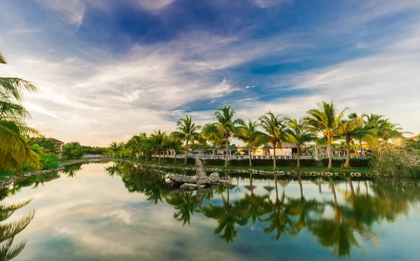 일몰 시간에 추억을 Caribe 호텔 정원의 드는 화려한 자연 풍경 보기 — 스톡 사진