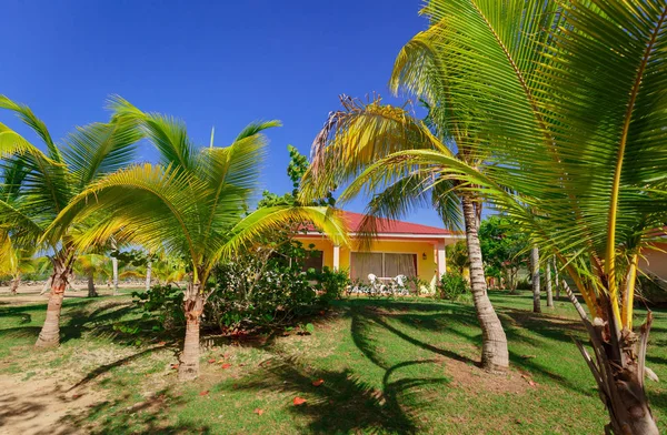 青空の背景に対して熱帯の庭に立っているリゾートバンガローハウスの素晴らしい自然の景色 — ストック写真