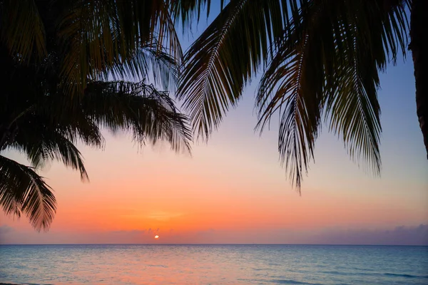 伟大的, 美丽的景色温暖诱人的日落时间在古巴湾在古巴可可岛 — 图库照片