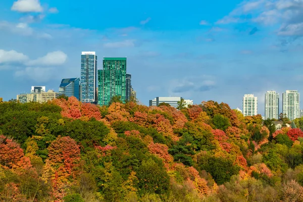 Bonito, hermosa vista del otoño tiempo Toronto parque con varios edificios de la parte alta de la ciudad en el fondo del cielo azul —  Fotos de Stock