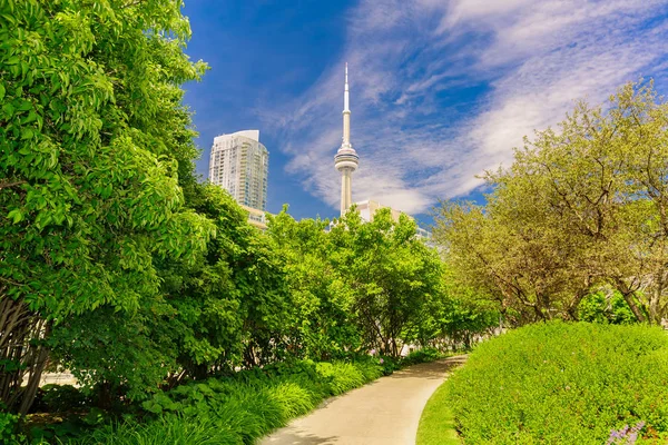 Incrível, convidativa vista de Toronto para baixo área da cidade música jardim parque com moderno edifício elegante e torre CN no fundo — Fotografia de Stock