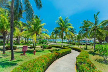 otel gerekçesiyle güzel güneşli plaj ve okyanus tropikal Bahçe lider ile güzel davetkar görünümü