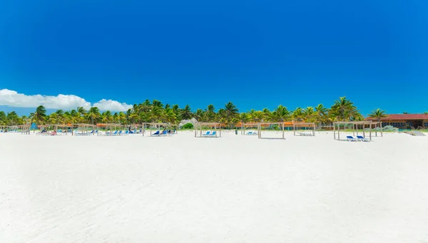 Удивительный привлекательный вид на тропический сад и пляж с белым песком с людьми, расслабляющими в фоновом режиме — стоковое фото