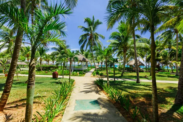 Inbjudande utsikt över hotellområdet i tropisk trädgård som leder till stranden och havet — Stockfoto