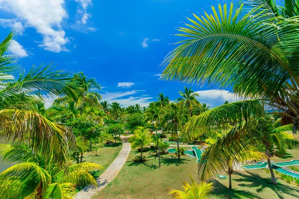 Bela convidativa vista paisagem jardim tropical no cayo Coco ilha cubana no dia ensolarado de verão — Fotografia de Stock