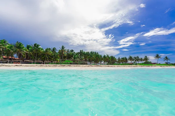 Hermosa vista de la playa de palmeras tropicales y tranquilo océano turquesa contra el fondo azul del cielo — Foto de Stock