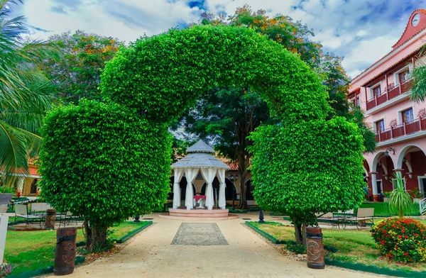 Prachtige adembenemend uitzicht op het terrein van de koloniale hotel, prachtige uitnodigende hotel ingang via decoratieve stijlvolle natuurlijke struiken poorten — Stockfoto