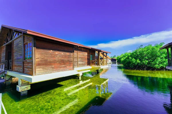 Tropikal Bahçe doğal deniz suda ayakta orada davetkar otel gerekçesiyle villa ile görünümünü şaşırtıcı evler — Stok fotoğraf