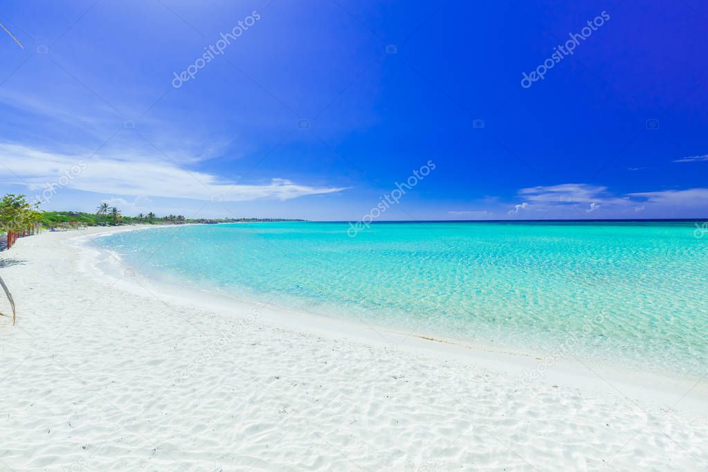  inviting view of tropical white sand beach and tranquil turquoise ocean on blue sky background 