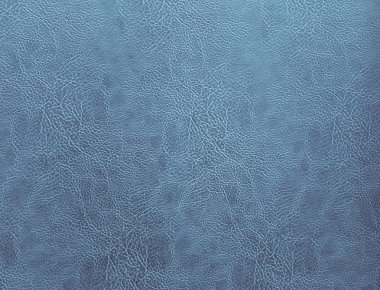 Harika portre dokulu mavi deri arka plan görünümünü ayrıntılı