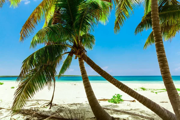 Beautiful Gorgeous Relaxing Pretty Inviting View White Sand Tropical Beach — Stock Photo, Image