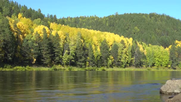 在河岸上的秋日阳光灿烂 美丽的自然 生态旅游 平静的河流 覆盖着森林的群山 自然景观 — 图库视频影像