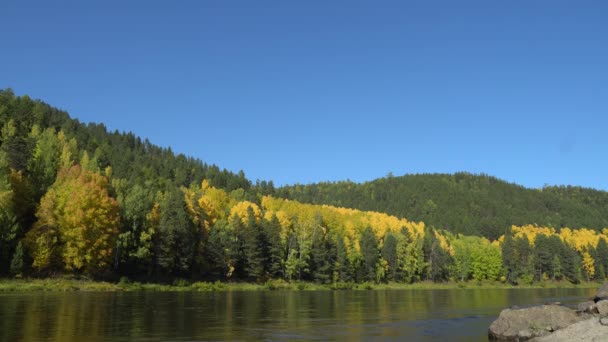 Zonnige Herfstdag Oever Van Rivier Gouden Herfst Prachtige Natuur Ecotoerisme — Stockvideo