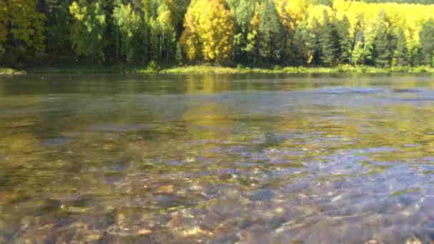 Солнечные Блики Дне Реки Крупный План Река Прозрачной Водой Фоне — стоковое видео