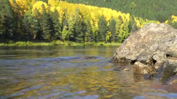 Foreground Large Stone Washed River Close Shot Background Defocused Autumn — Stock Video