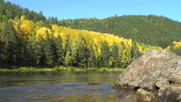 Foreground Large Stone Washed River Close Shot Background Defocused Autumn — Stock Video