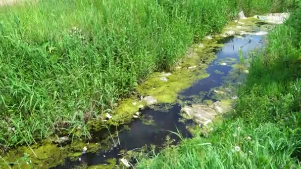 Umweltverschmutzung Ökologisches Problemkonzept Plastiktüten Flaschen Müll Und Müll Treiben Fluss — Stockvideo