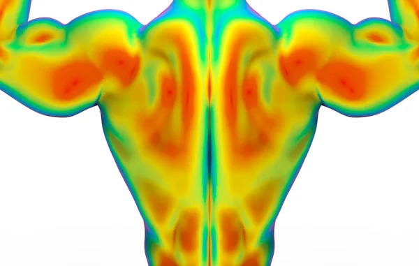 Rendering Back Side Top Part Human Muscle Body Scan Infrared — стоковое фото
