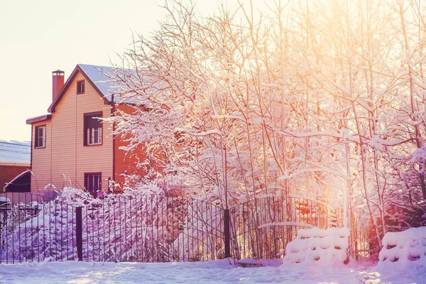 在夕阳西下的背景下，一座房子，一个篱笆，树上的大雪，地面上的大雪. — 图库照片