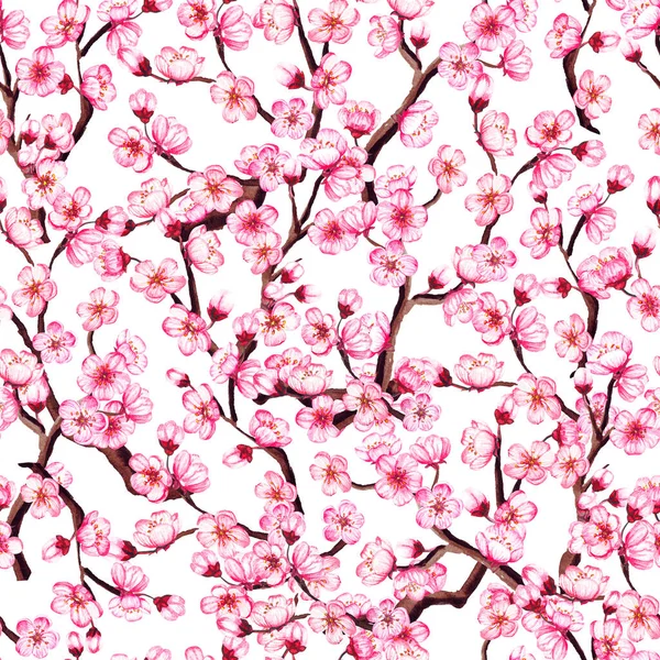 Acuarela floral patrón sin costuras sakura. Fondo de flor de cerezo de primavera, aislado en blanco . —  Fotos de Stock