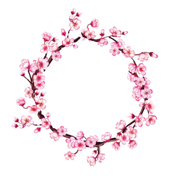 Υδατογραφία floral sakura πλαίσιο. Στεφάνι ανοιξιάτικης ανθοφορίας, απομονωμένο σε λευκό. — Φωτογραφία Αρχείου