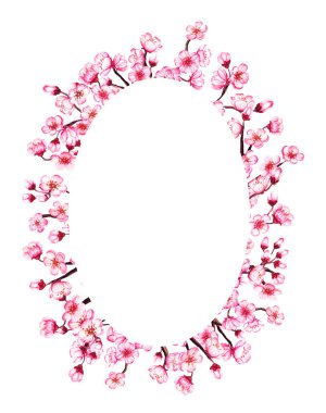 Suluboya çiçekli sakura çerçevesi. Bahar kiraz çiçeği çelengi, beyaz üzerine izole edilmiş..