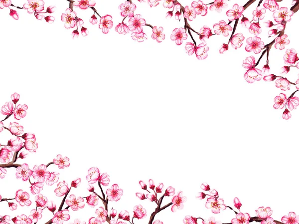 Watercolor floral sakura frame. Spring cherry blossom border, isolated on white. — Stock Photo, Image