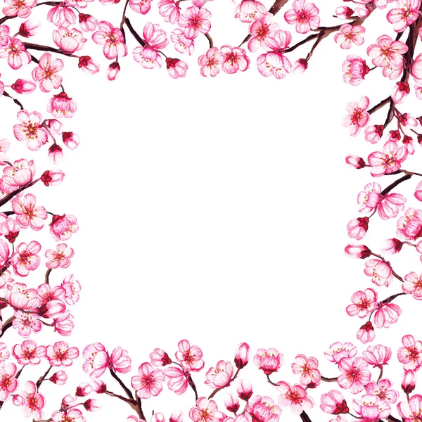 Watercolor floral sakura frame. Spring cherry blossom border, isolated on white. — Stock Photo, Image