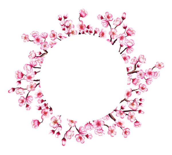 수채화 꽃이 피는 사쿠라 틀. 흰색으로 분리 된 봄 벚꽃 화환. — 스톡 사진