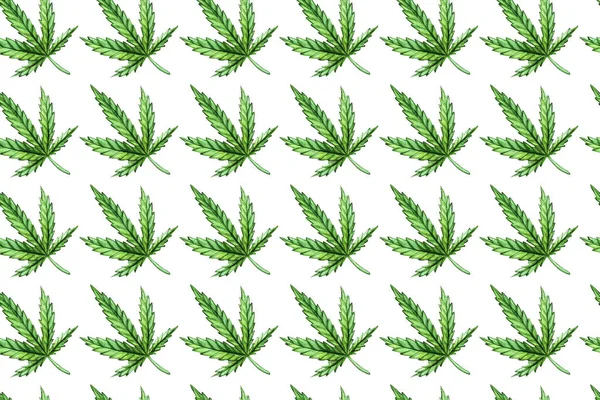 Un patrón verde sin costuras de Cannabis sativa. Cannabis indica, Marihuana planta medicinal con hojas. Acuarela pintada a mano ilustración aislada sobre fondo blanco . —  Fotos de Stock