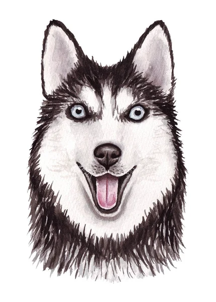 Ilustração aquarela de um cão engraçado. Raça de cão popular. Cão. Husky siberiano. Personagem feito à mão isolado no branco — Fotografia de Stock