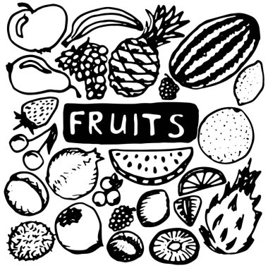Elma, muz, karpuz, çilek ve diğerleri gibi farklı meyveli Doodle vektör çizimi.