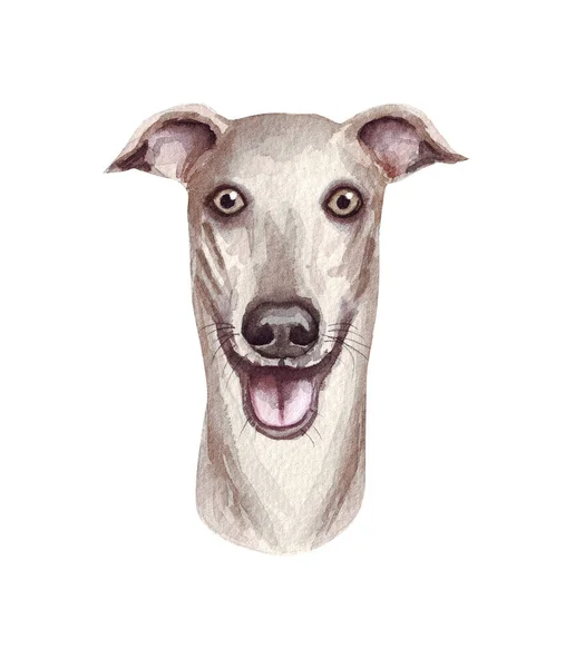 Akvarel ilustrace legračního psa. Oblíbené psí plemeno. Psí chrt. Ručně vyrobený znak izolovaný na bílém — Stock fotografie
