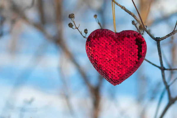 Červené srdce na větvi stromu v zimě. — Stock fotografie