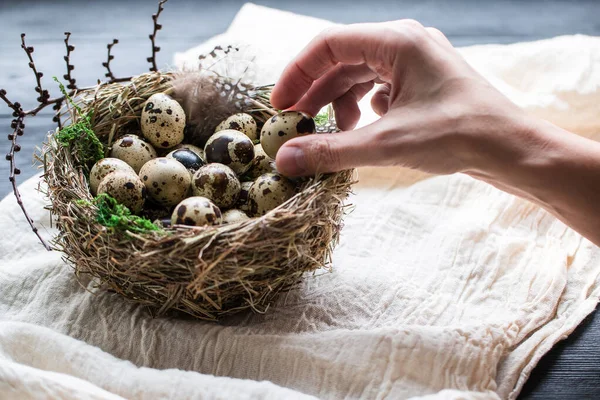Huevos de codorniz con musgo verde en un nido sobre un tejido de algodón blanco con espacio para copiar — Foto de Stock