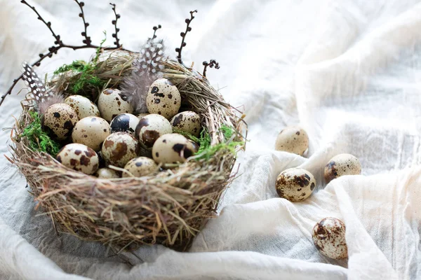 Huevos de codorniz con musgo verde en un nido sobre un tejido de algodón blanco con espacio para copiar — Foto de Stock