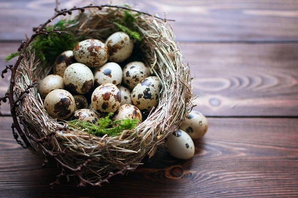 Huevos de codorniz con musgo verde en un nido sobre una mesa de madera braun con espacio para copiar — Foto de Stock