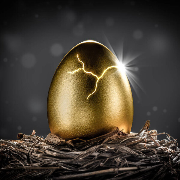 Shiny Golden Nest Egg Open With Burst Of Light - Investment Maturity Concept